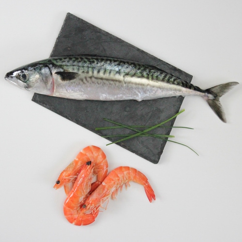 Poissons et fruits de mer